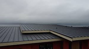 Best Sheet Metal Roofing  in Horse Shoe, NC